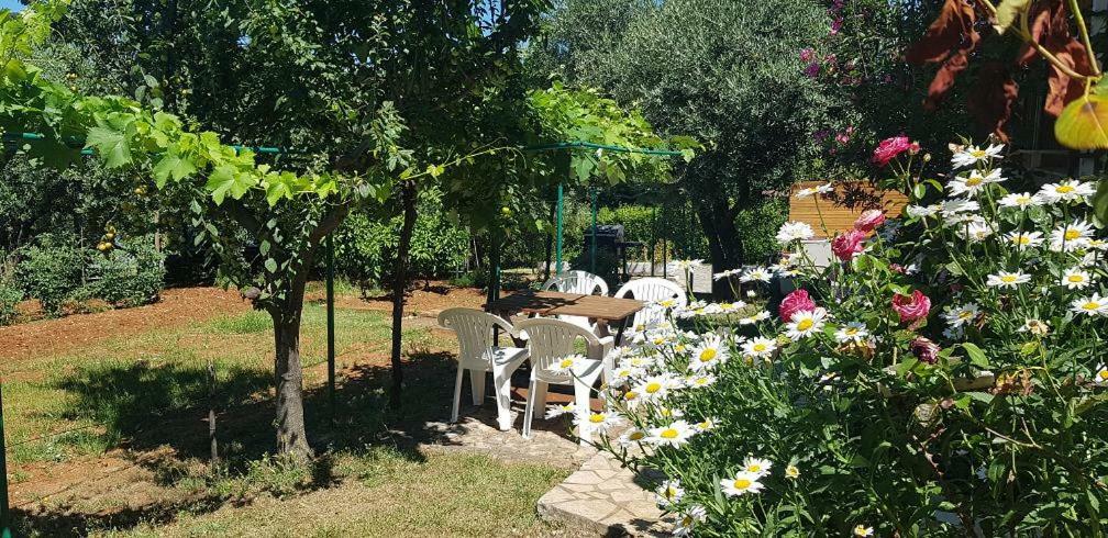Appartamenti Clara Poreč Exterior foto